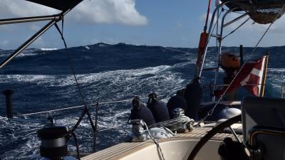 Fra hamsterhjul til øhop i Stillehavet