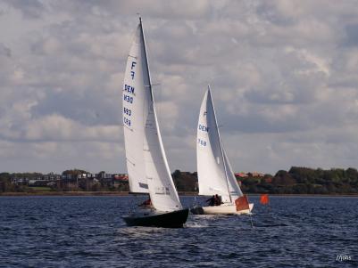 DSC08493.JPG