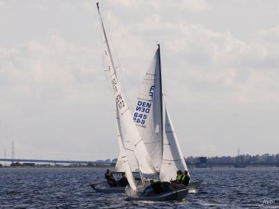 DSC08551.JPG