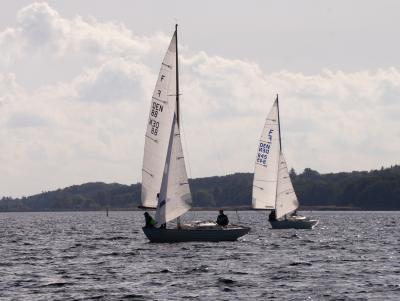 DSC08488.JPG