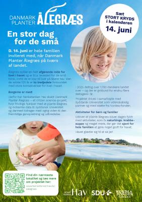 Plantning af Ålegræs i Veddelev Sø. d. 14 juni kl. 10.30