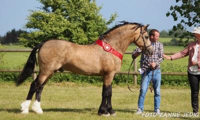 Skærmbillede 2025-04-20 101119.jpg