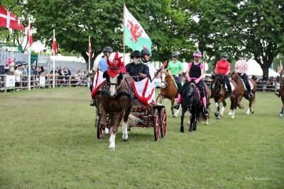 Vogne og ryttere.jpg