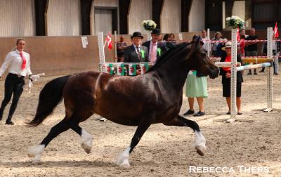 Naseba Hemera kåring 2023.jpg