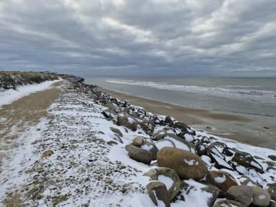 VInterstemning - februar 2026