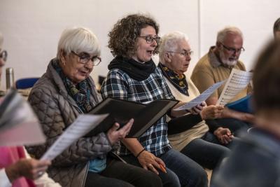 Jule -og Nytårskoncerter