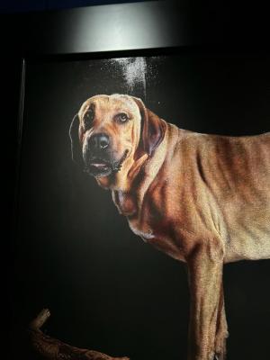 Malernes tur til  Viborg kunstmuseum særudstilling med  kunstneren Thomas Kluge