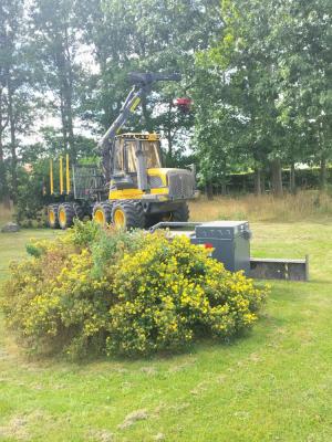 Hyllingeparken 02.jpg