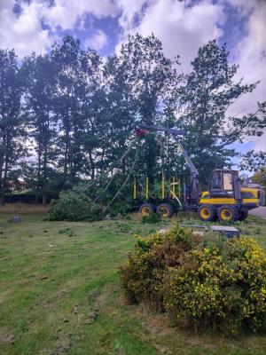 Hyllingeparken 03.jpg